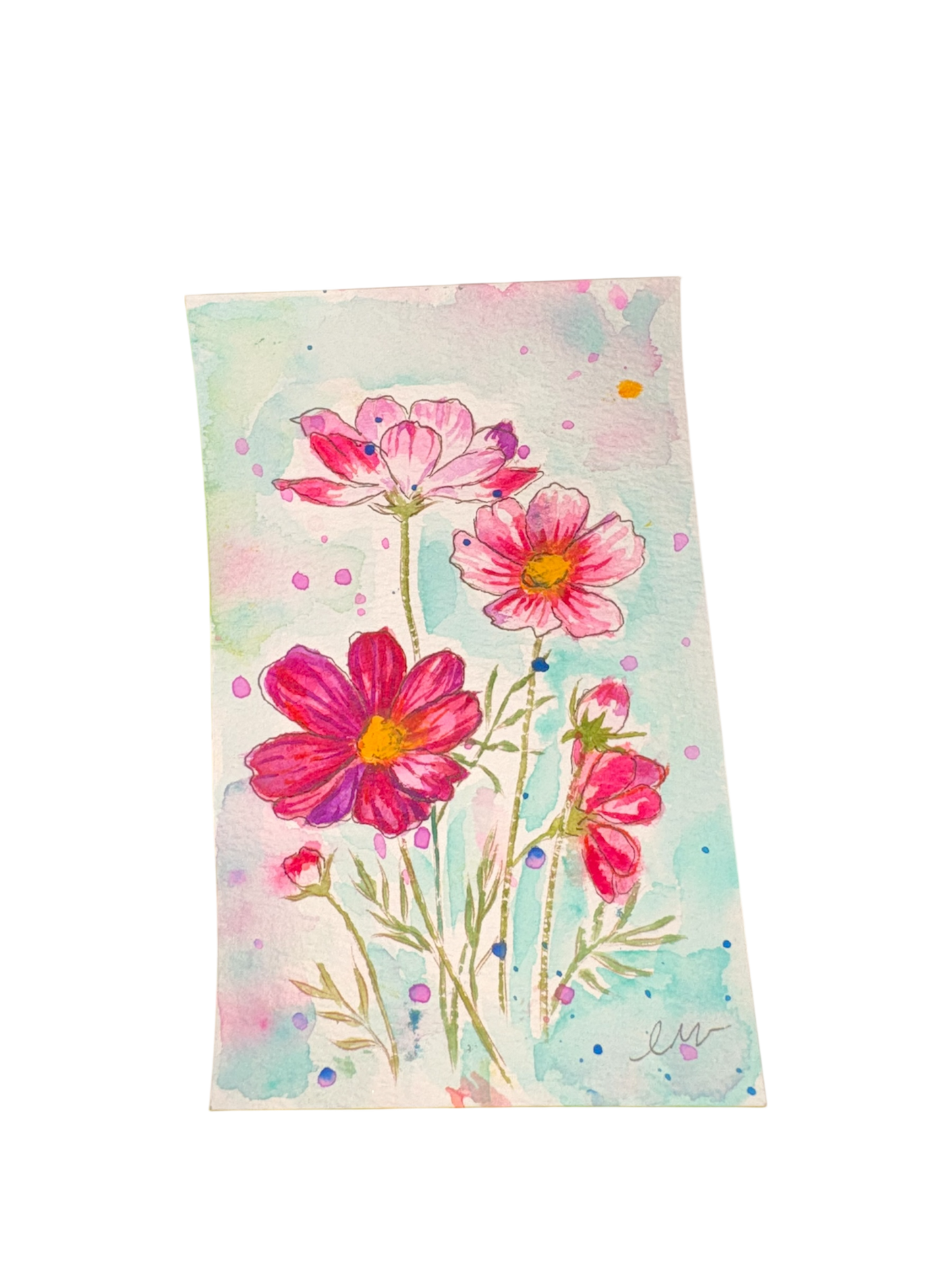 Blush Cosmos – Original Watercolor Artist Card (3” x 5”)